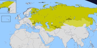 Mapa ruské říše